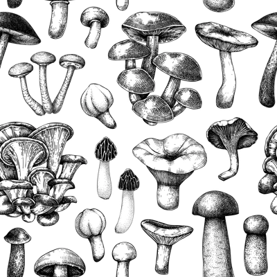 Edible mushrooms background. Healthy food seamless pattern. Forest mushroom sketch. Hand-drawn vector illustration. NOT AI generated